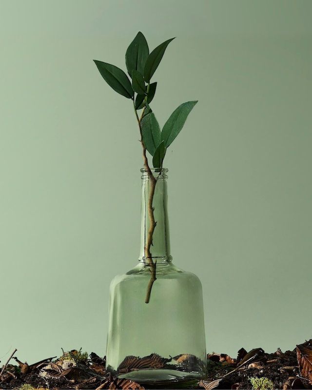 Does True Luxury Still Come in Single-Use Packaging?